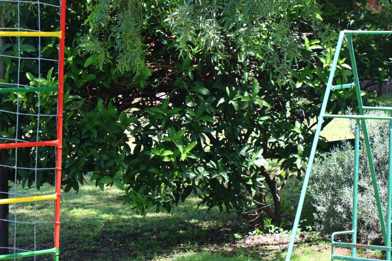 Bed and Breakfast Olive Tree Farm Magaliesburg Esterno foto