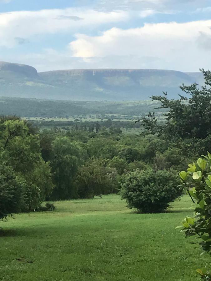 Bed and Breakfast Olive Tree Farm Magaliesburg Esterno foto