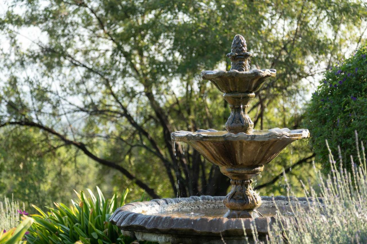 Bed and Breakfast Olive Tree Farm Magaliesburg Esterno foto
