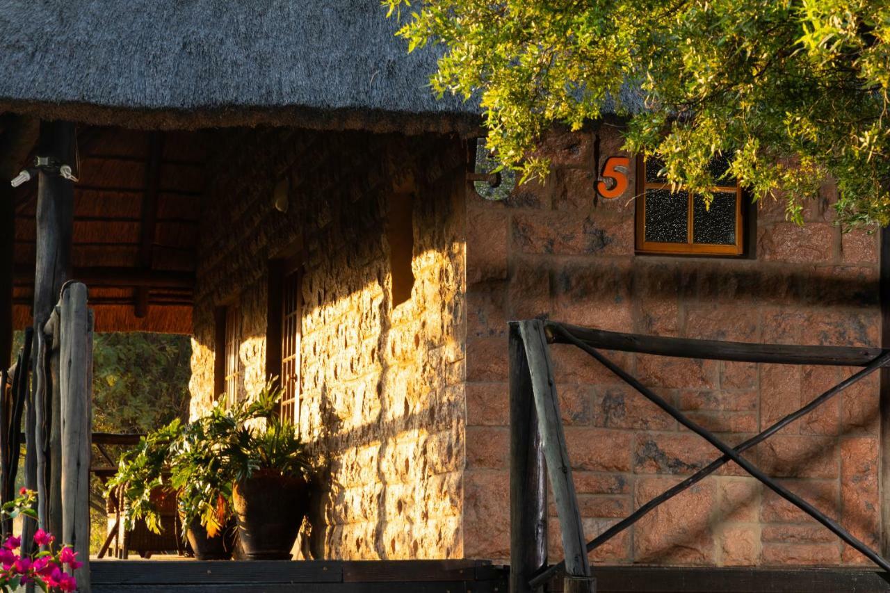 Bed and Breakfast Olive Tree Farm Magaliesburg Esterno foto