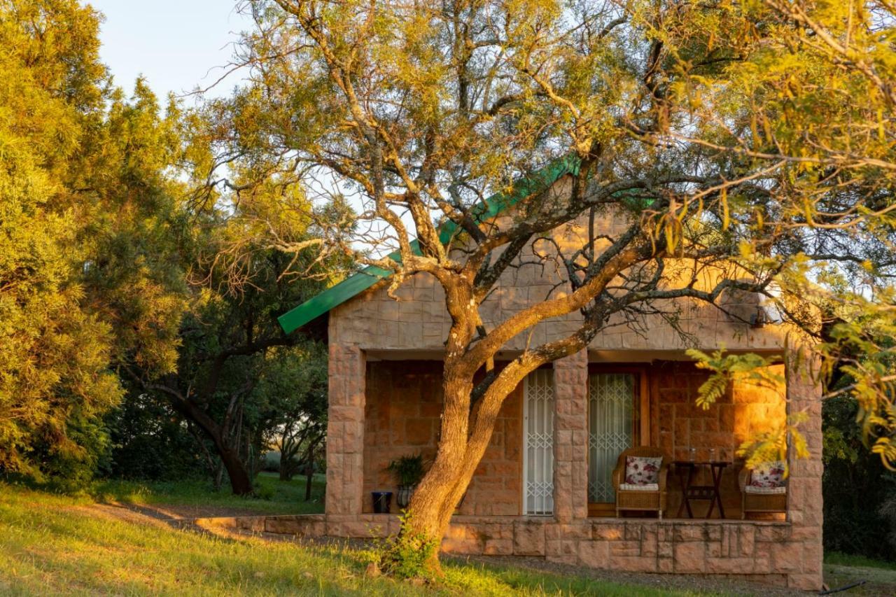 Bed and Breakfast Olive Tree Farm Magaliesburg Esterno foto