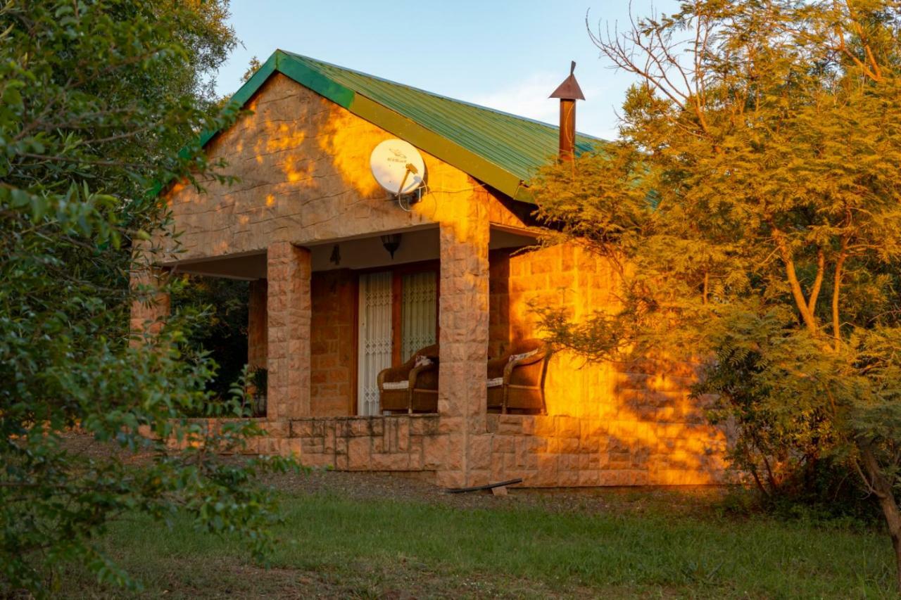Bed and Breakfast Olive Tree Farm Magaliesburg Esterno foto